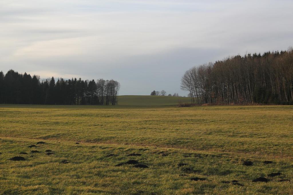 Gasthof Landhotel Hirsch Ostrach Kültér fotó